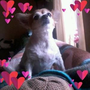 Meet your Posher, Julia